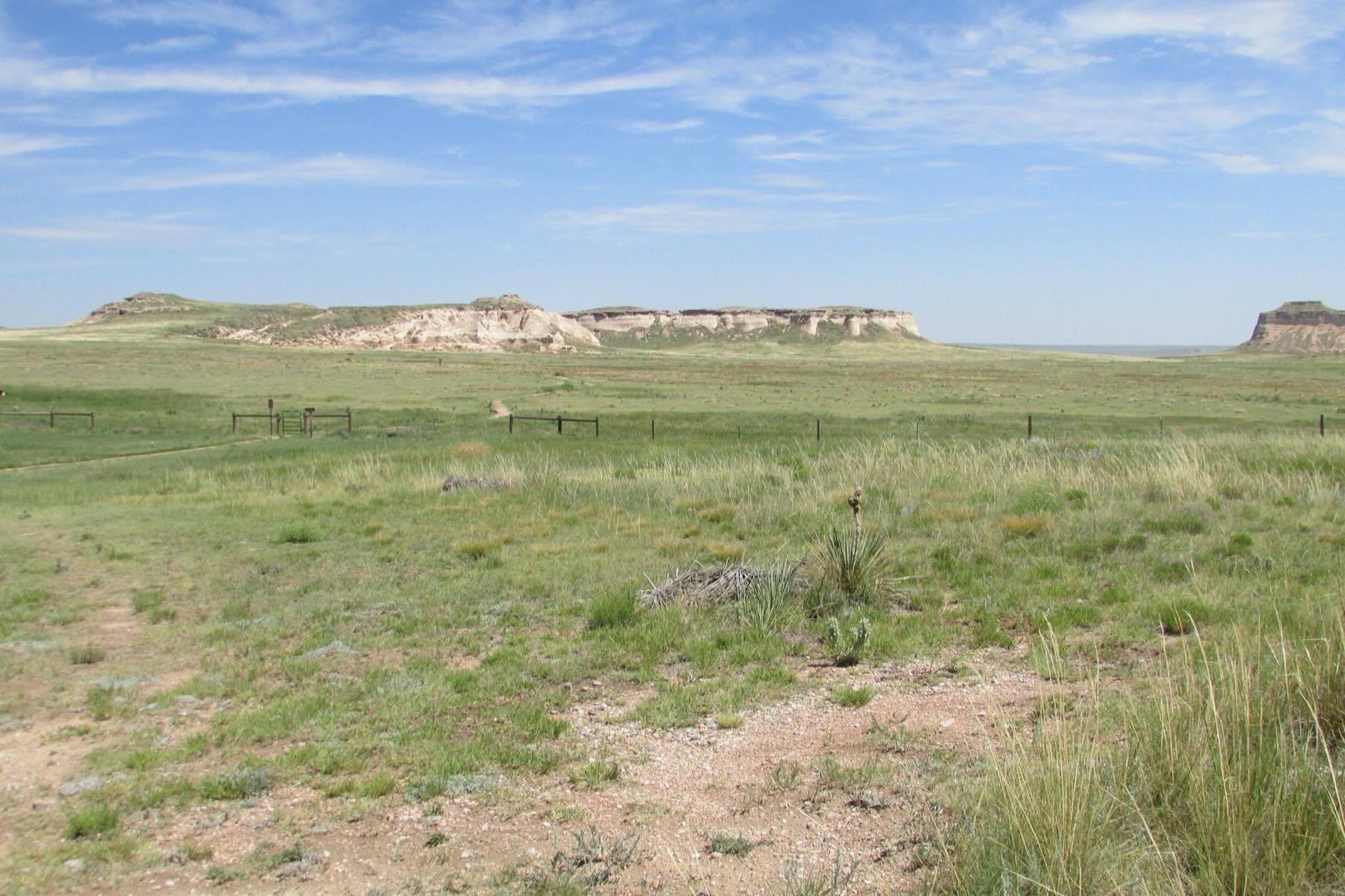 The Lone Tree bluffs from the south, showing the mesa tops above open grassland